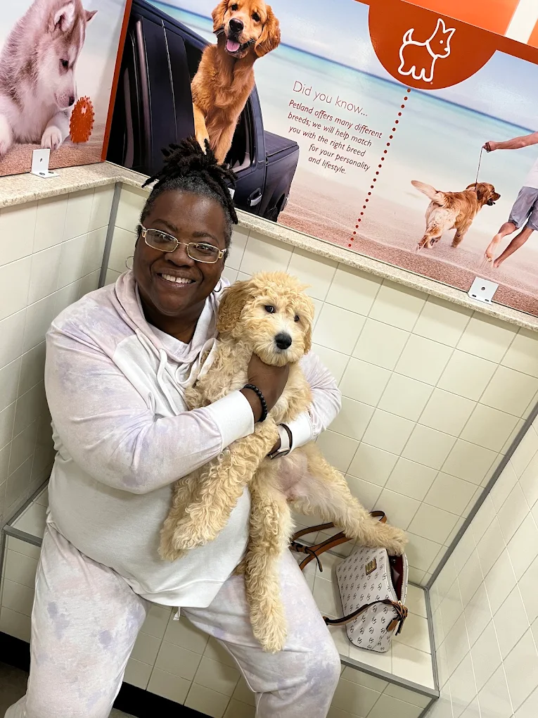 Petland Jacksonville puppies